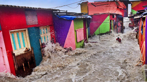 Những tác phẩm về môi trường đẹp nhất năm 2019