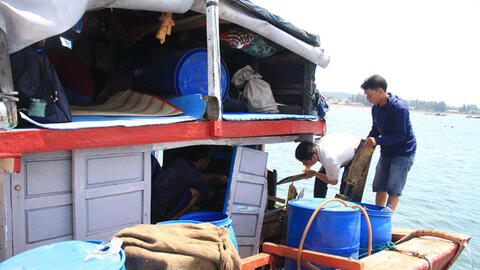 Tàu Trung Quốc dùng vũ lực ép thuyền trưởng tàu cá Việt Nam điểm chỉ giấy tờ