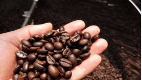 Xuất khẩu cà phê quý I/2022 tăng mạnh về giá trị