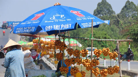 Thị trường thực phẩm 15/4: Thanh trà miền Tây giá 50.000-70.000 đồng/kg