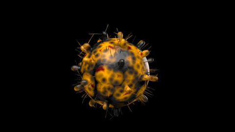 Chuyên gia Mỹ nhận định Omicron chắc chắn không nghiêm trọng hơn Delta