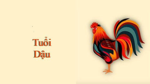 Tử vi năm 2022 tuổi Dậu: Không nên đầu tư lớn nhưng may mắn trong tình yêu