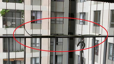 Chung cư Masteri Thảo Điền nhiều lần xuất hiện rắn