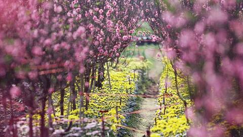 Yêu thương nào có mong manh