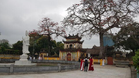 Sư trụ trì bị tố hung hăn, cầm nắm hương đang cháy dập vào tay du khách