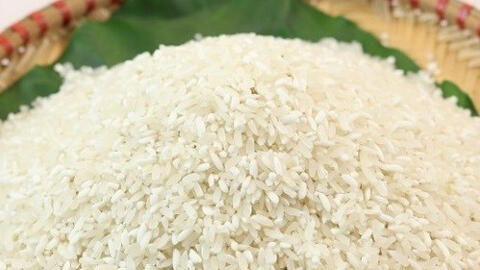 Giá gạo xuất khẩu vẫn thấp dù nhu cầu thu mua đang khởi sắc