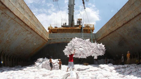 USDA dự báo Việt Nam sẽ tiếp tục đứng thứ 2 về xuất khẩu gạo trong năm 2021