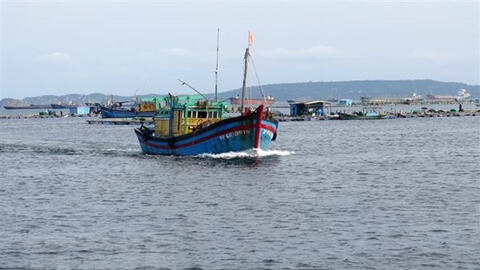 Bão số 9: Điều động 3 tàu kiểm ngư tìm kiếm ngư dân Bình Định mất tích