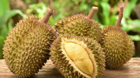 Năm 2019 giá sầu riêng có dấu hiệu chững lại và đi xuống