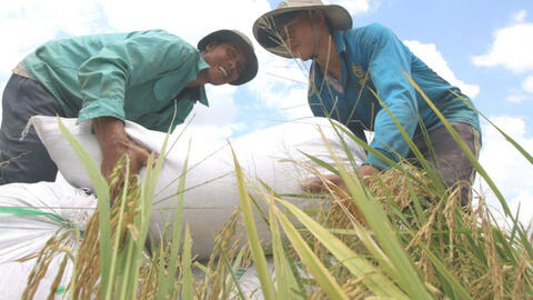 Lần đầu tiên Việt Nam vào nhóm nước có chỉ số phát triển con người cao