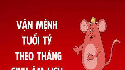 Tử vi các tháng năm 2022 tuổi Tý: Dầu năm gặp quý nhân, cuối năm có tin vui