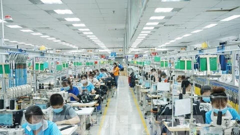 Số doanh nghiệp thành lập mới và quay lại hoạt động trong 2 tháng tăng 46,2%