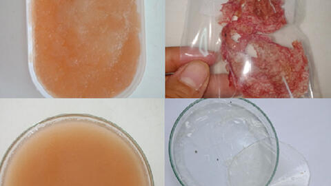 Nữ tiến sĩ dùng vỏ thanh long tạo màng sinh học thay thế túi nilon