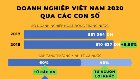 Doanh nghiệp Việt Nam 2020 qua các con số