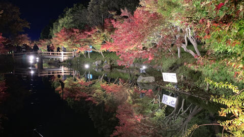 Sắc màu 4 mùa trong lễ hội ánh sáng lớn nhất Nhật Bản