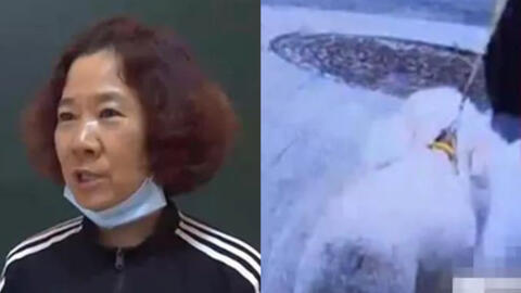 Bị hai con chó cắn liên tiếp trong hai tháng, người phụ nữ đòi trả tiền thuốc men thì bị chủ chó "giội gáo nước lạnh": "Do cô xui!"