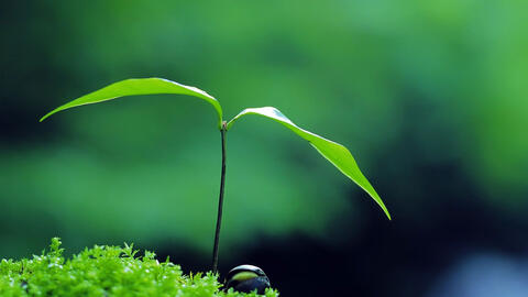 3 không hỏi, 4 không ăn, 5 không chạm là gì?