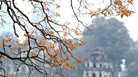 Hà Nội: Rộn ràng các chương trình du lịch kỳ nghỉ Tết Dương lịch 2021