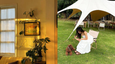 Bỏ phố về Đà Lạt mở homestay sau 1 năm phải đóng cửa: Doanh thu chỉ đủ trả tiền thuê nhà, mất trắng 400 triệu