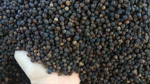 Dự báo giá hạt tiêu trong thời gian tới giảm do nhu cầu tiêu thụ vẫn chậm.