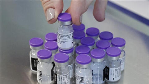 Pfizer đảm bảo cung cấp đủ vaccine COVID-19