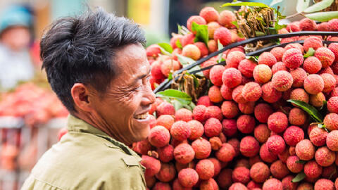 “Giải cứu” làm giá các mặt hàng nông sản của tỉnh Bắc Giang đều giảm
