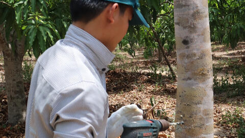 Khánh Hòa cần bảo tồn nguồn tài nguyên mang tên xứ sở