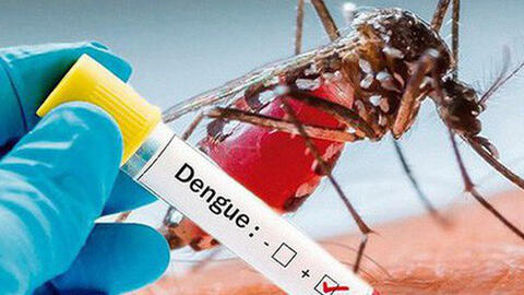 Dịch sốt xuất huyết năm 2019: Những con số đáng báo động