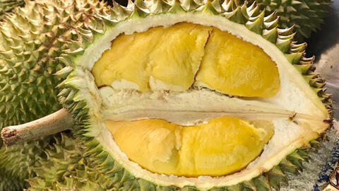 Sầu riêng vào cuối mùa, giá bắt đầu chững lại