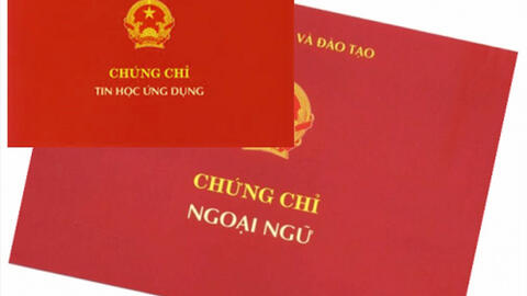 Đề xuất bỏ 87 chứng chỉ chức danh nghề nghiệp