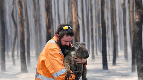 Nhìn lại năm 2020: 10 sự kiện nổi bật thế giới