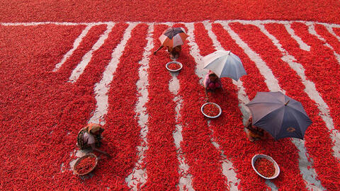 Bộ ảnh đầy màu sắc tại cuộc thi ảnh quốc tế AGORA Images Beauty 2019