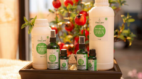 Tinh dầu sả Java: Cây trồng hiệu quả trên đất dốc và bạc mầu