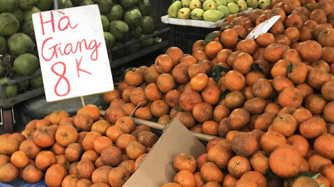 Sự thực về cam sành đặc sản giá rẻ 8.000 - 10.000 đồng/kg