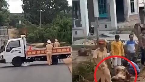 Bị truy đuổi, tài xế liều mạng tông thẳng vào xe CSGT chặn đường ở Gia Lai: Tạm giữ 3 nghi can