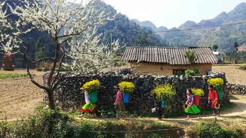 Cao nguyên đá mùa xuân