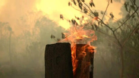 Brazil điều động quân đội, máy bay quân sự để chiến đấu với đám cháy rừng Amazon