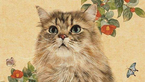 3 nét đặc biệt giúp tuổi Mão có công việc thuận lợi, sự nghiệp lên hương