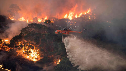 Cảnh sát Úc tiến hành truy tố 24 người về tội cố ý phóng hỏa gây cháy rừng