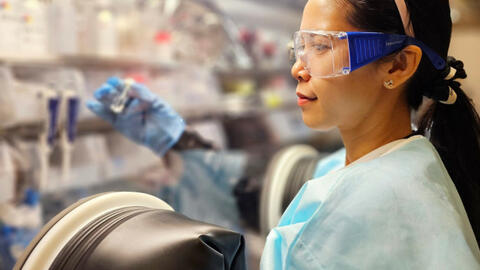 Nhà khoa học Việt dùng trấu chế tạo pin sạc