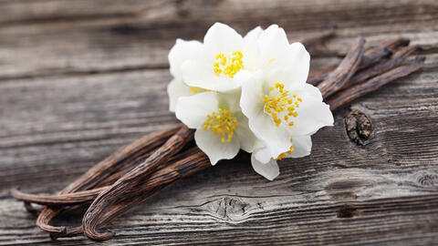 Mẹo đuổi muỗi cực đơn giản không cần đến hóa chất độc hại