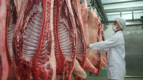 Việt Nam nhập khẩu trên nửa triệu con heo từ Thái Lan