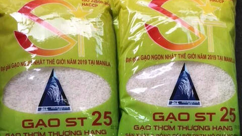 TRT cảnh báo Việt Nam có thể mất quyền tham gia cuộc thi “Gạo ngon nhất thế giới”
