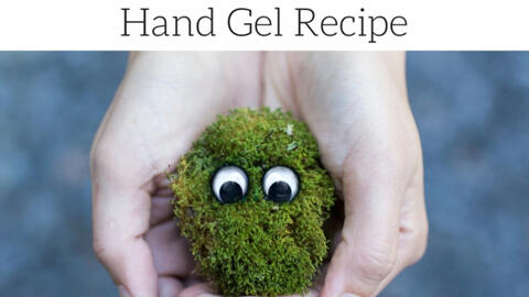 Tự làm nước rửa tay khô tại nhà từ gel nha đam