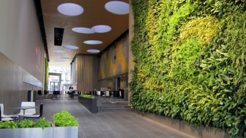 Năm 2020, bùng nổ phong cách biophilic trong thiết kế nhà ở