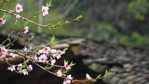Hạnh phúc là hiện tại, nào phải chúc tụng đâu xa...