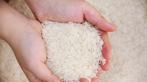 Úc thay đổi quy trình kiểm tra đối với gạo