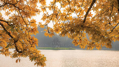 Chúng ta ở trong một thành phố