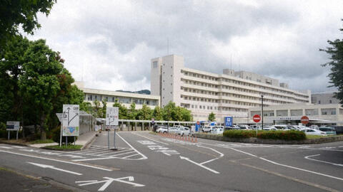 Nữ giáo sư nổi tiếng của Nhật Bản tự bình duyệt cho bài báo của chính mình