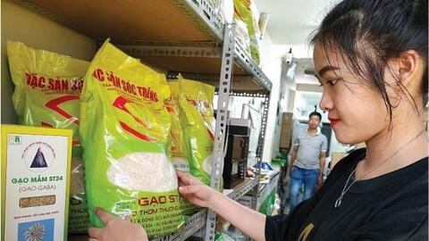 Việt Nam có nguy cơ bị cấm tham gia cuộc thi Gạo ngon nhất thế giới